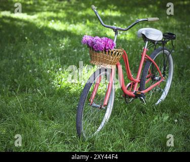 Vintage bicycle avec panier de fleurs de pivoines au printemps park Banque D'Images