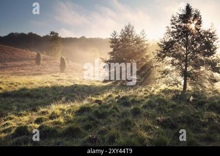 Soleil matinal sur les collines brumeuses, Totengrund, Allemagne, Europe Banque D'Images