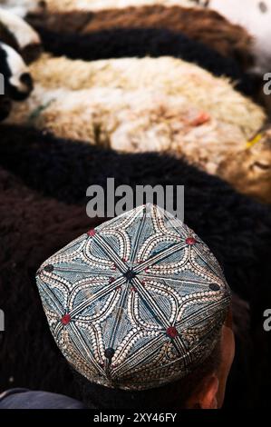 Uyghur avec leurs moutons et leurs bovins sur un grand marché hebdomadaire local de bétail dans la banlieue de Kashgar, Xinjiang, Chine. Banque D'Images