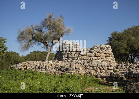 Talayot Circular, conjunto prehistorico de Capocorb Vell, principios del primer milenio a. C. (Edad de Hierro), Monumento Historico Artistico, Llucmaj Banque D'Images