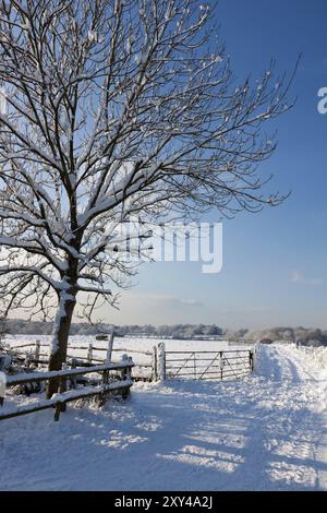 Scène d'hiver dans la région de East Grinstead Banque D'Images