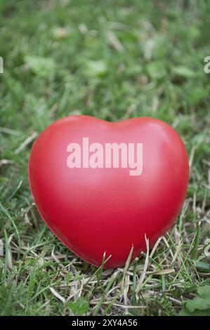 Forme de coeur rouge sur l'herbe verte Banque D'Images