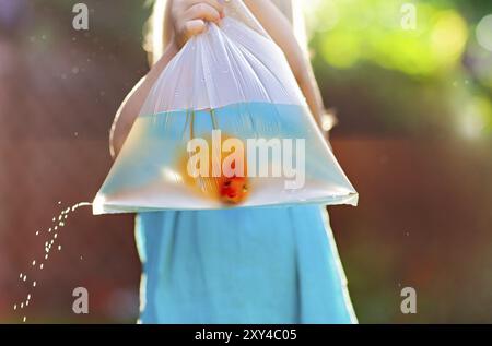 Croiser la petite fille en robe bleue debout sur la rue et tenir le sac en plastique transparent avec de l'eau et le poisson doré et l'eau qui tombe à travers le petit trou Banque D'Images