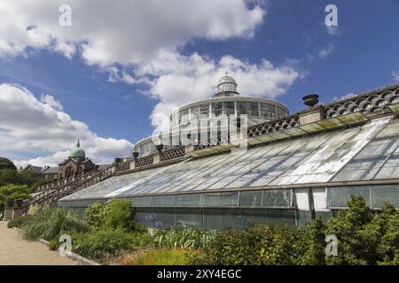 Copenhague, Danemark, 19 juillet 2016 : la maison de palmiers dans le jardin botanique, Europe Banque D'Images