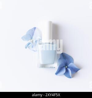 Flat Lay with hortensia Blue Petals with blue vernis à ongles dans une bouteille en verre transparent sur fond blanc. Concept de manucure et pédicure naturelle Banque D'Images