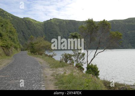 Petite route au nord de Lagoa Azul, île de Sao Miguel, Açores, Portugal, Europe Banque D'Images