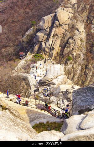 Séoul, Corée du Sud, 23 avril 2015 : file d'attente de randonneurs sur le sentier menant au pic Baegundae randonnée jusqu'à la montagne Bukhansan par un jour ensoleillé de printemps, en Asie Banque D'Images