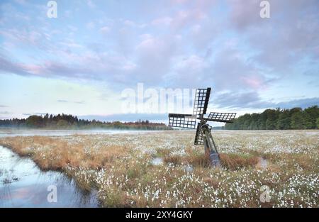 Vieux moulin à vent en bois sur marais avec de l'herbe de coton au lever du soleil, Drenthe, pays-Bas Banque D'Images