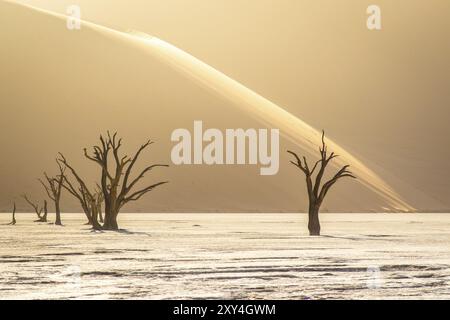 Parc de Sossousvlei, Deadvlei, Namibie, Afrique Banque D'Images