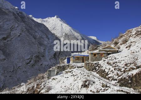 Scène printanière dans le parc national de Langtang, Népal, Asie Banque D'Images