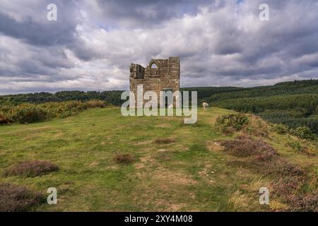 Paysage de North York Moors, à la tour à Skelton, vus de l'Levisham Moor, North Yorkshire, England, UK Banque D'Images