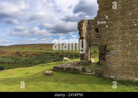 Paysage de North York Moors, à plus Newtondale avec Skelton tour à droite, vu de la Lande Levisham, North Yorkshire, England, UK Banque D'Images