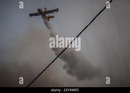 Zagreb, Croatie. 28 avril 2024. Feu de forêt près du village de Zrnovnica, Croatie le 27.08.2024. Photo : Zvonimir Barisin/PIXSELL crédit : Pixsell/Alamy Live News Banque D'Images