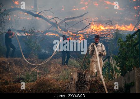 Zagreb, Croatie. 28 avril 2024. Feu de forêt près du village de Zrnovnica, Croatie le 27.08.2024. Photo : Zvonimir Barisin/PIXSELL crédit : Pixsell/Alamy Live News Banque D'Images