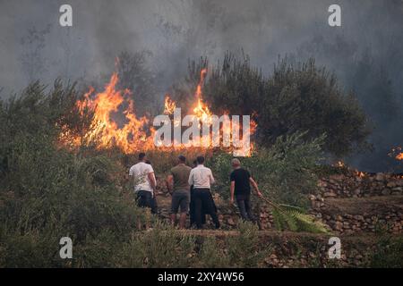 Zagreb, Croatie. 28 avril 2024. Feu de forêt près du village de Zrnovnica, Croatie le 27.08.2024. Photo : Zvonimir Barisin/PIXSELL crédit : Pixsell/Alamy Live News Banque D'Images