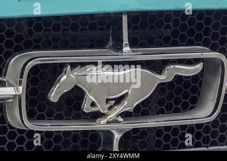 Welfenallee, Berlin, Allemagne, 16 juin 2018 : logo cheval sauvage sur une voiture ancienne Mustang oldtimer, Europe Banque D'Images