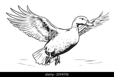 Dessin de canard volant illustration vectorielle peinte chasse aux oiseaux Illustration de Vecteur