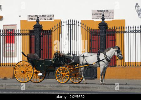 Calèche à Séville, Espagne, Europe Banque D'Images