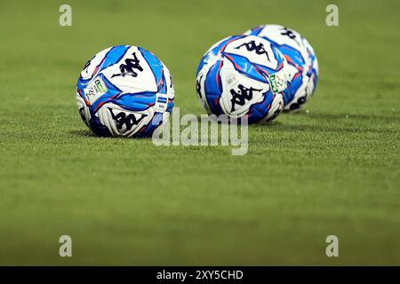 Frosinone, Italie. 27 août 2024. Match officiel lors du match de Serie B entre Frosinone Calcio et Modena FC au Stadio Benito Stirpe à Frosinone, Italie. Crédit : FEDERICO PROIETTI Banque D'Images