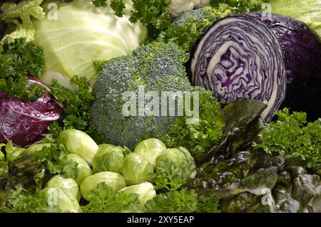 Nature morte de nourriture avec toutes sortes de légumes juteux frais et légumes verts brocoli, chou vert, chou rouge, laitue tête, laitue feuille rouge, bruxelles spr Banque D'Images