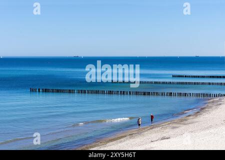 Groynes sur la mer Baltique près de Warnemuende, Mecklembourg-Poméranie occidentale, Allemagne, Europe Banque D'Images