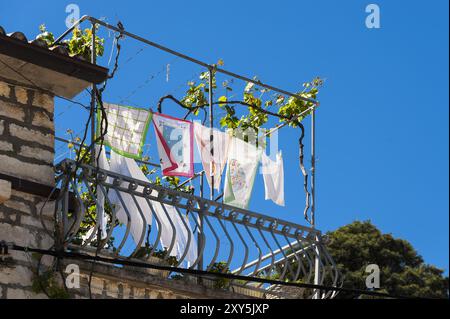 Le linge fraîchement lavé est accroché sur la ligne sur un jardin sur le toit Banque D'Images