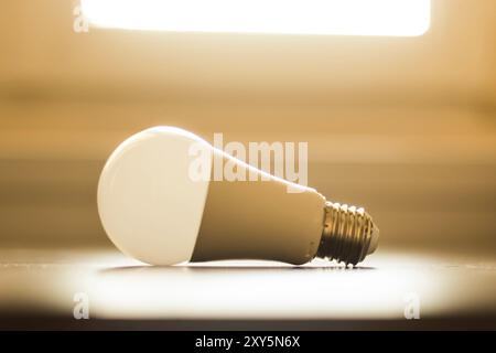 Ampoule blanche couchée sur un bureau, concept d'idées. Lumière du soleil Banque D'Images