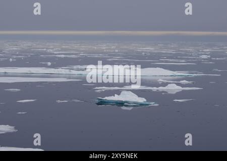 Banquise arctique près de l'archipel du Svalbard Banque D'Images