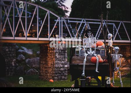 Squelette humain sur chariot en bois avec des citrouilles. Décoration d'Halloween la nuit. Banque D'Images