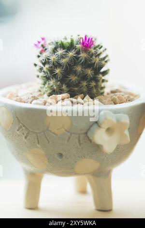 Bébé cactus en joli pot sur bois Banque D'Images