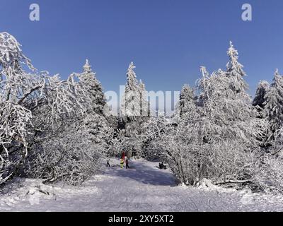 Hiver sur le Feldberg Banque D'Images