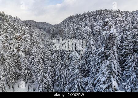 Vue enneigée d'hiver d'une forêt dans les rochers skaly de Prachovske dans la région de Cesky raj (Paradis tchèque), République tchèque Banque D'Images