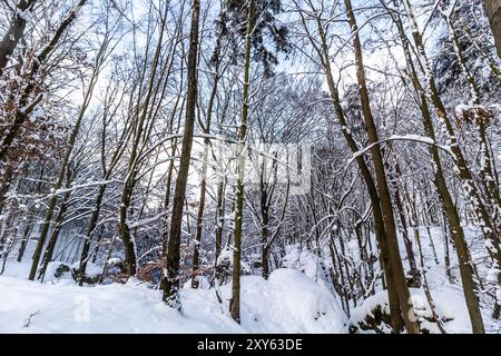 Vue hivernale d'une forêt enneigée dans les rochers skaly de Prachovske dans la région de Cesky raj (Paradis tchèque), République tchèque Banque D'Images