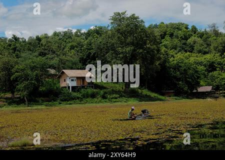 Pêcheur sur le lac Nam Tien, Xayaboury (Sainyabuli), Laos Banque D'Images