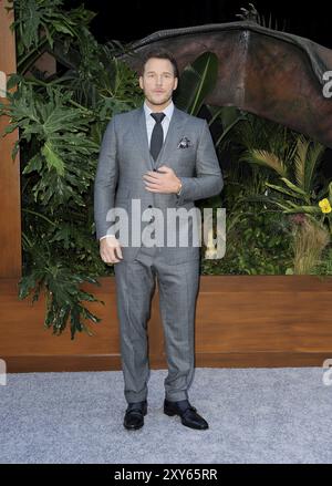 Chris Pratt lors de la première de Jurassic World : Fallen Kingdom à Los Angeles, le 12 juin 2018, au Walt Disney concert Hall de Los Angeles Banque D'Images