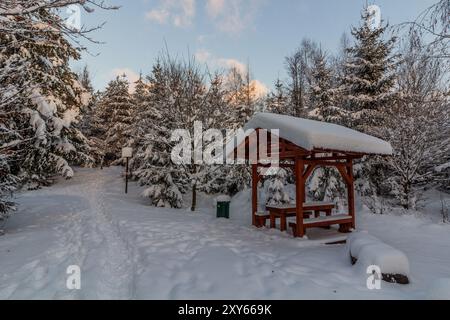 Vue d'hiver de l'aire de pique-nique dans les rochers skaly de Prachovske, Tchéquie Banque D'Images