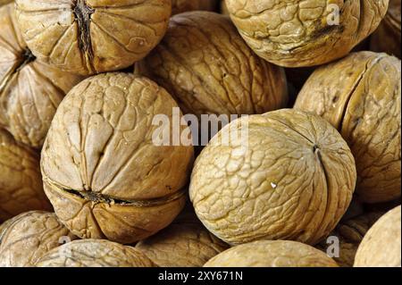 Beaucoup de noix en gros plan Banque D'Images