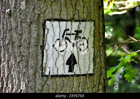 Signe pour une piste cyclable sur un arbre en Pologne Banque D'Images