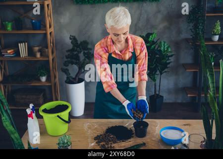 Photo de brillante femme d'âge heureux habillé tablier rassemblant des plantes mettant le drainage à l'intérieur du lieu de travail à domicile Banque D'Images