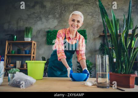 Photo de Shiny Happy Age femme habillée tablier rempotage plantes à l'intérieur du lieu de travail à domicile Banque D'Images