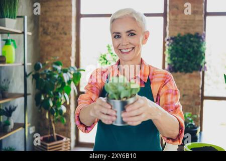 Photo de Shiny Happy Age femme habillée tablier rassemblant des plantes vous donnant pot à l'intérieur du lieu de travail à domicile Banque D'Images