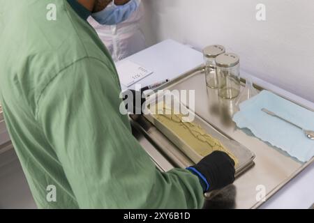 DEU/Saxe/Ebersbach le producteur de cannabis saxon Demecan est aujourd’hui la première entreprise allemande à être autorisée à cultiver du cannabis médicinal inalement Banque D'Images