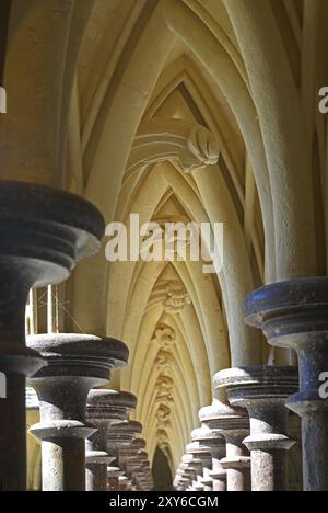 Cloître, détail, Abbaye du Mont Saint Michel, Normandie, France, Europe Banque D'Images