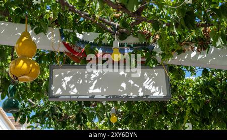 Panneau en bois vide suspendu à une taverne de vigne, panneau de taverne grecque traditionnelle, espace de copie Banque D'Images