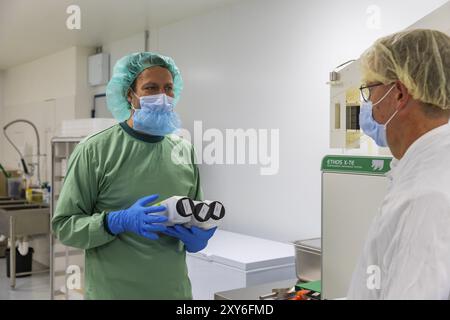 DEU/Saxe/Ebersbach le producteur de cannabis saxon Demecan est aujourd’hui la première entreprise allemande à être autorisée à cultiver du cannabis médicinal inalement Banque D'Images