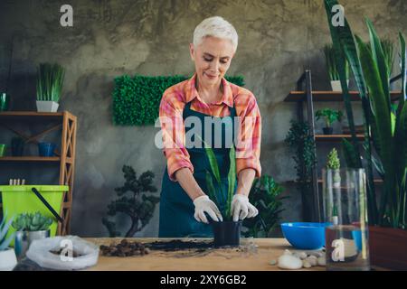 Photo de brillante femme Happy Age habillé tablier ensemencant des plantes enracinées à l'intérieur du lieu de travail à domicile Banque D'Images