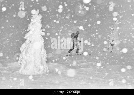 Skieurs dans la neige, réserve naturelle de Dundret, Gaellivare, Norrbotten, Laponie, Suède, février 2016, Europe Banque D'Images