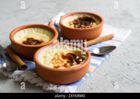 Gâteau de riz cuit au four dessert laiteux turc sutlac dans une casserole avec des bâtonnets de cannelle et des noisettes hachées Banque D'Images