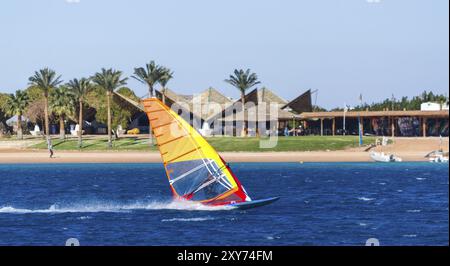 Surfeur se promène dans la mer sur le fond de la plage avec des palmiers en Egypte Banque D'Images