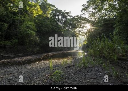 Lumière matinale atmosphérique avec étoile de soleil et rayons de soleil, à un ruisseau dans la forêt tropicale humide, parc national de Corcovado, péninsule d'Osa, Puntarena Provin Banque D'Images